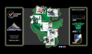 Проект hcsalavat-shop.ru